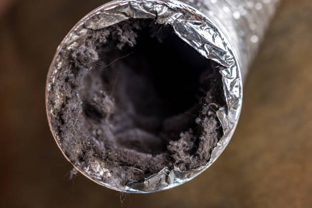 Best Affordable Duct Cleaning Services  in George West, TX