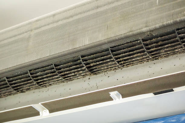 Best Local Air Duct Cleaning Services  in George West, TX